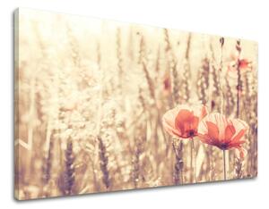 Obraz na stenu KVETY KV074E11 - 20x30 cm