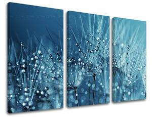Obraz na stenu 3 dielny KVETY KV085E30 - 60x40 cm