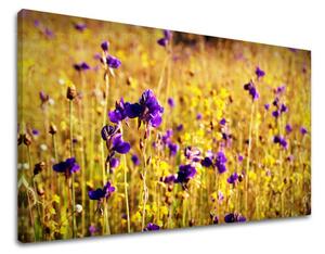 Obraz na stenu KVETY KV088E11 - 20x30 cm