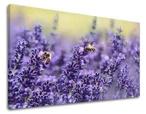 Obraz na stenu KVETY KV091E11 - 20x30 cm