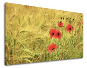 Obraz na stenu KVETY KV080E11 - 20x30 cm