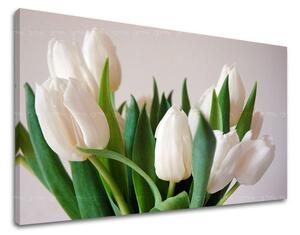 Obraz na stenu KVETY TULIPÁNY XOBKV108E11 - 20x30 cm