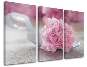 Obraz na stenu 3 dielny KVETY KV100E30 - 60x40 cm