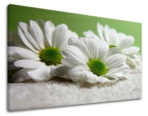 Obraz na stenu KVETY XOBKV111E11 - 20x30 cm