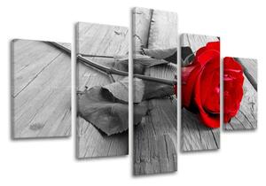 Obraz na stenu 5 dielny KVETY XOBKV115E50 - 100x80 cm