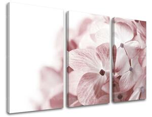Obraz na stenu 3 dielny KVETY XOBKV114E30 - 60x40 cm