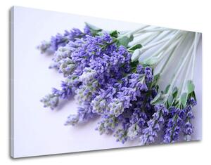 Obraz na stenu KVETY XOBKV122E11 - 40x60 cm