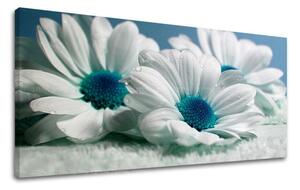 Obraz na stenu Panoráma KVETY XOBKV126E13 - 30x60 cm