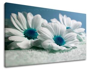 Obraz na stenu KVETY XOBKV126E11 - 20x30 cm