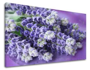 Obraz na stenu KVETY XOBKV123E11 - 20x30 cm