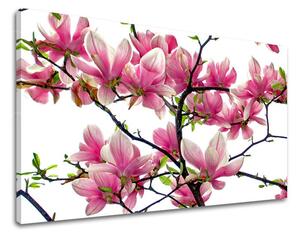 Obraz na stenu KVETY XOBKV132E11 - 20x30 cm
