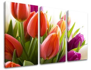 Obraz na stenu 3 dielny KVETY XOBKV138E30 - 60x40 cm