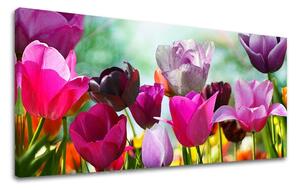 Obraz na stenu Panoráma KVETY XOBKV148E13 - 30x60 cm