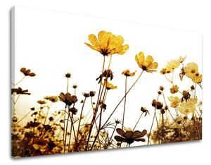 Obraz na stenu KVETY XOBKV143E11 - 20x30 cm