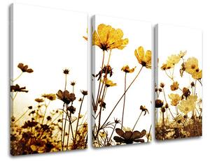 Obraz na stenu 3 dielny KVETY XOBKV143E30 - 60x40 cm