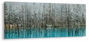 Obraz - Tyrkysový rybník, Biei, Japonsko (120x50 cm)