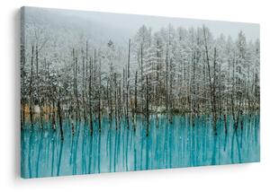 Obraz - Tyrkysový rybník, Biei, Japonsko (90x60 cm)