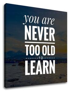 Motivačný obraz na stenu You are never too old