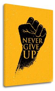 Motivačný obraz na stenu Never give up