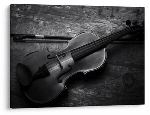 Obraz - Viola (70x50 cm)
