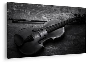 Obraz - Viola (90x60 cm)