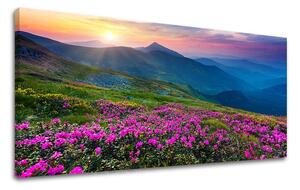 Obraz na stenu PANORÁMA SLOVENSKO SK031E13