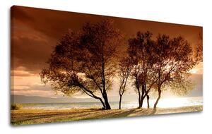 Obraz na stenu PANORÁMA STROMY ST026E13