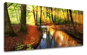 Obraz na stenu PANORÁMA STROMY ST032E13