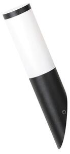 RABALUX 8145 Black torch exteriérové nástenné svietidlo 1xE27 matná čierna