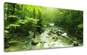 Obraz na stenu PANORÁMA STROMY ST034E13