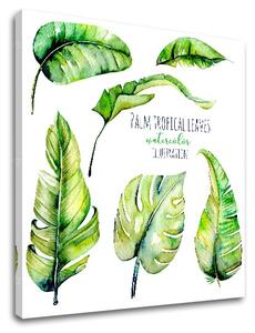 Obraz na stenu s textom Palm tropical leaves
