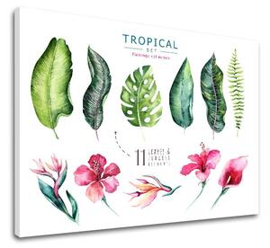 Obraz na stenu s textom Tropical set flamingo