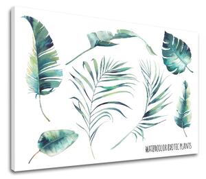 Obraz na stenu s textom Watercolor exotic plants