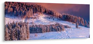 Obraz zimnej krajiny (120x50 cm)