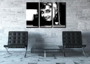 Ručne maľovaný POP Art obraz Audrey HEPBHURN 3 dielny ah1