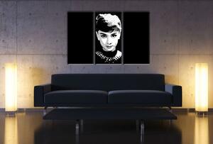 Ručne maľovaný POP Art obraz Audrey HEPBHURN 3 dielny ah