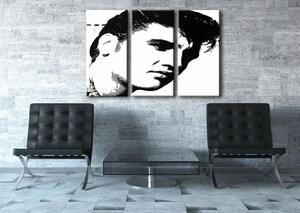 Ručne maľovaný POP Art obraz ELVIS 3 dielny el