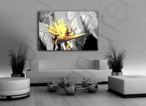 Ručne maľovaný POP Art obraz Flower flo4