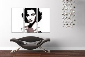 Ručne maľovaný POP Art obraz Elizabeth Taylor 3 dielny et2