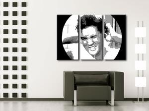 Ručne maľovaný POP Art obraz ELVIS 3 dielny el2