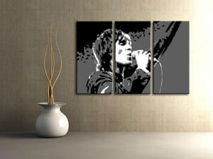 Ručne maľovaný POP Art obraz Ian Brown 3 dielny ib2