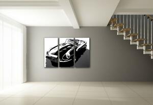 Ručne maľovaný POP Art obraz JAGUAR 3 dielny jag