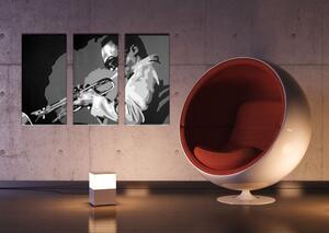 Ručne maľovaný POP Art obraz Miles Davis 3 dielny md