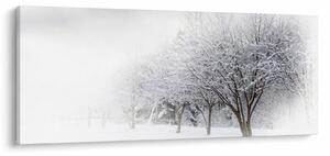 Obraz - Zimná alej (120x50 cm)