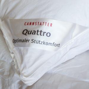 Kamýk Daunen Páperový vankúš Cannstatter Pillow Quatro – husacie páperie Bavlna de luxe 70x90 cm