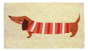 Rohožka z kokosového vlákna 43x73 cm Sausage Dog – Rex London