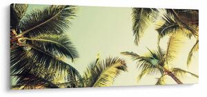 Obraz s kokosovými palmami (120x50 cm)