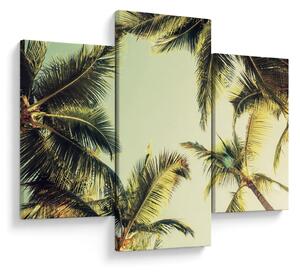 Obraz s kokosovými palmami (90x60 cm)