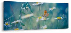 Obraz - Motýľ na sedmokráske (120x50 cm)