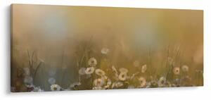 Obraz - Olejomaľba sedmokrások (120x50 cm)